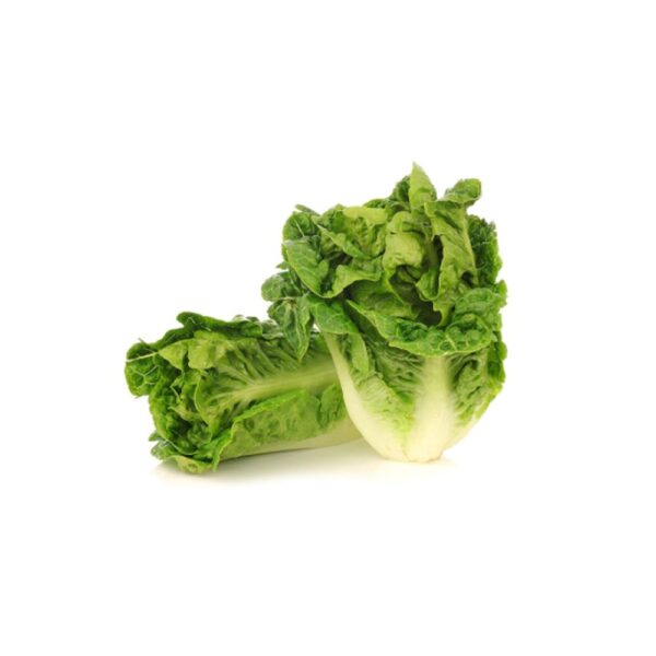 Organic Lettuce Little 2pcs